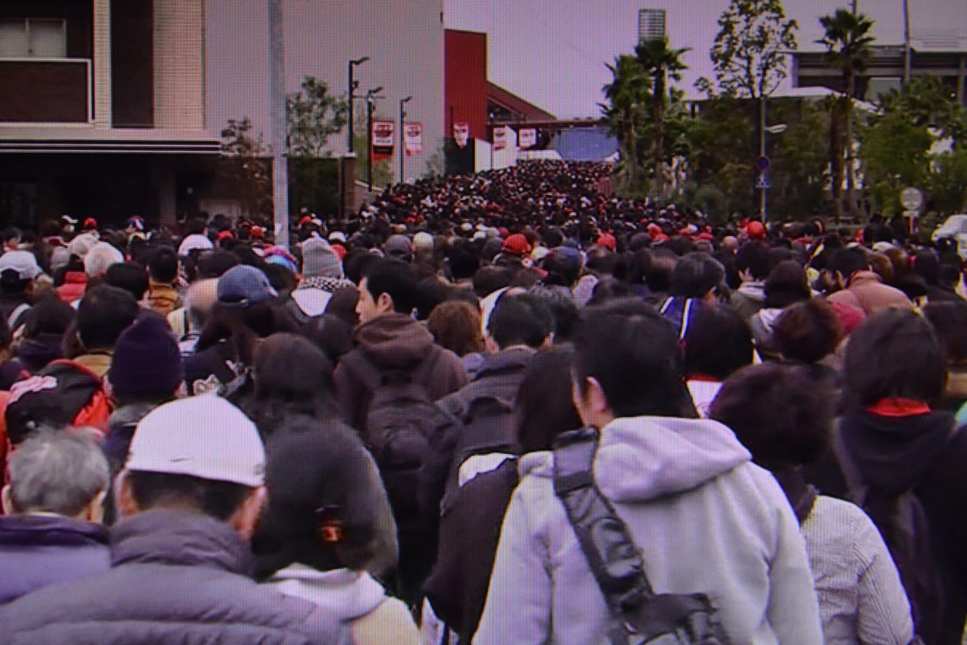 やっと一週間が終わって 本日 日曜日は・・・