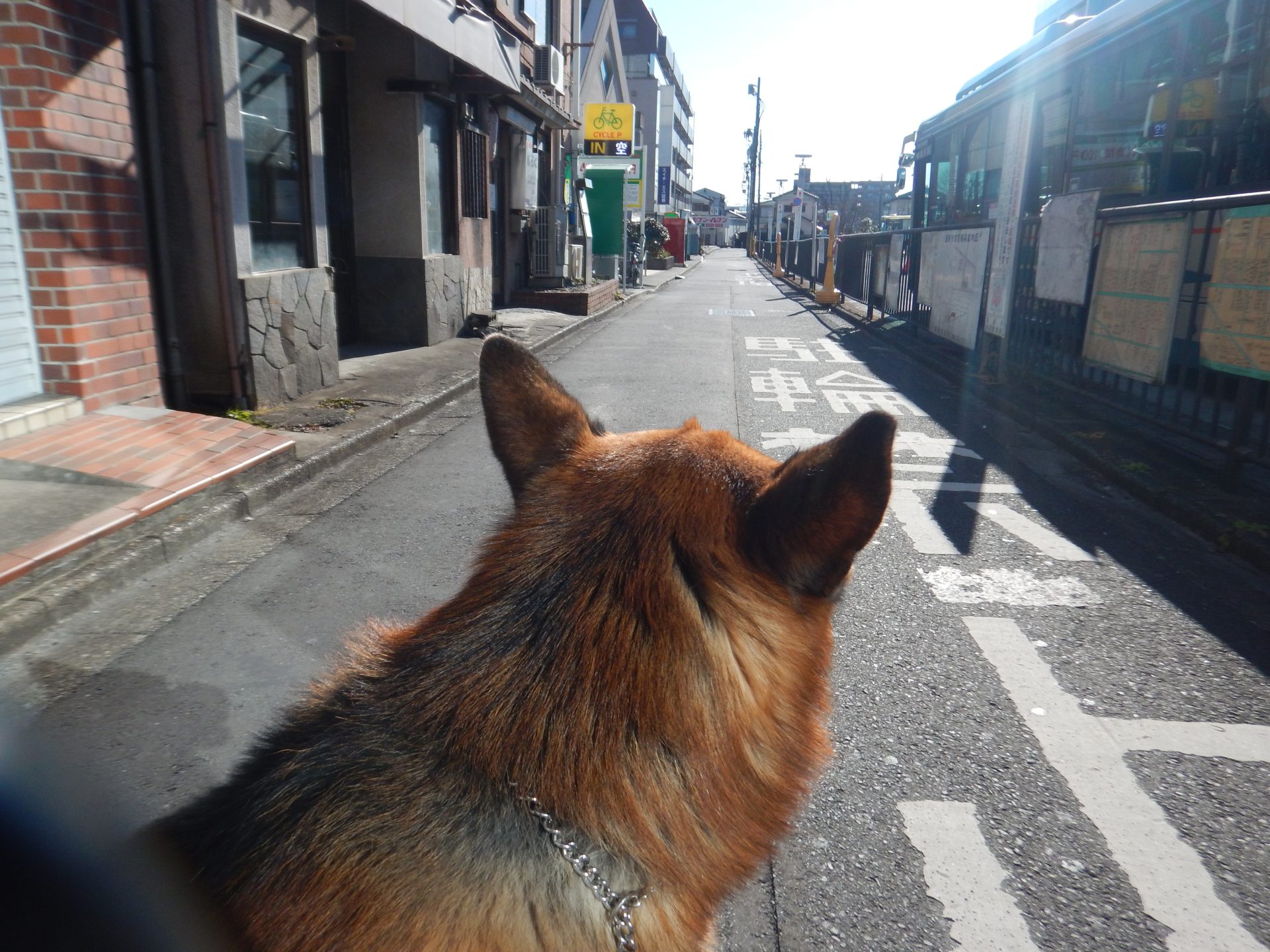 昨日 木曜定休日の１日、いつもこんな感じ、