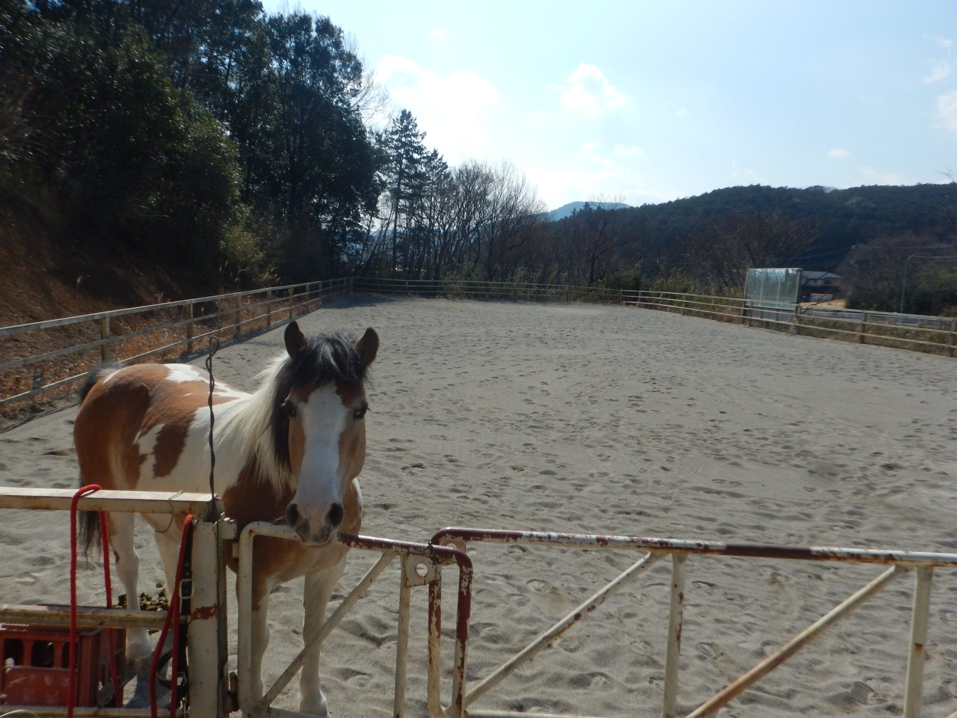 動物からはモテるみたい？ なんだケド・・・