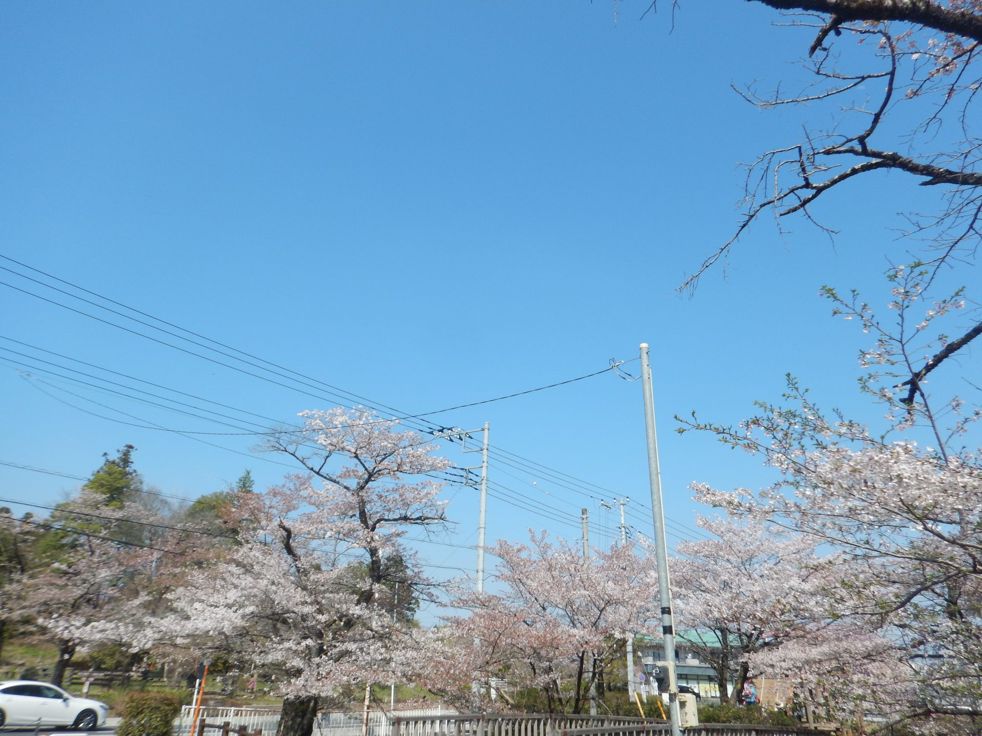 気持ちが押しつぶされそう、でも負けない（Ⅱ）。