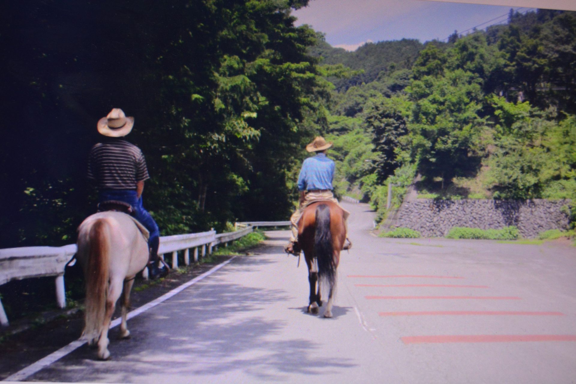 何か極端な事が 近い気がする（Ⅱ）、