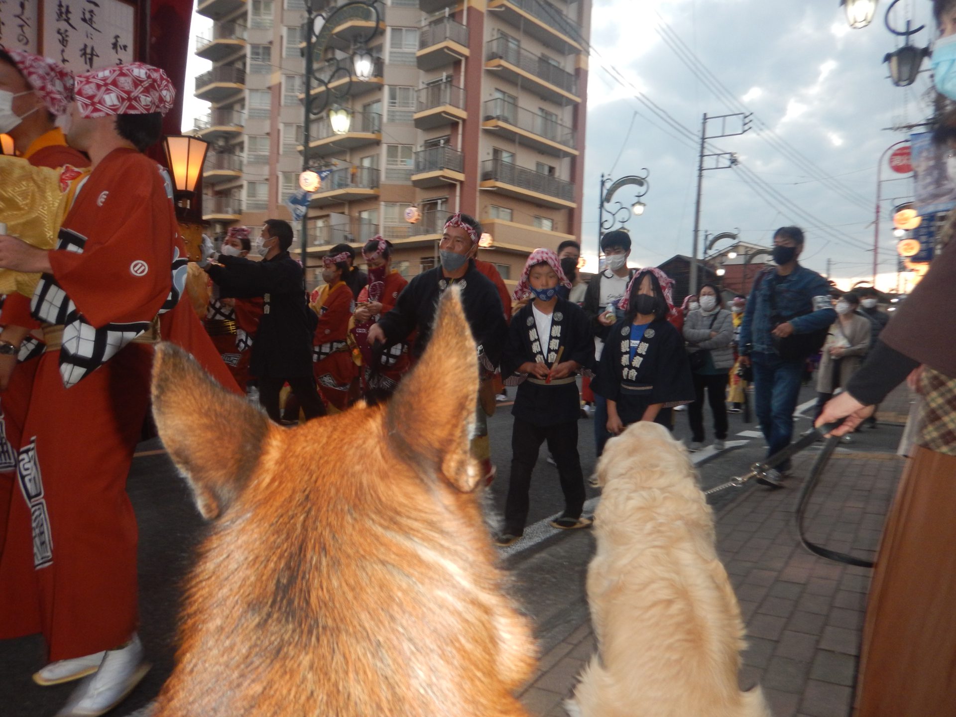 サンちゃん ラク君 お祭り大冒険！