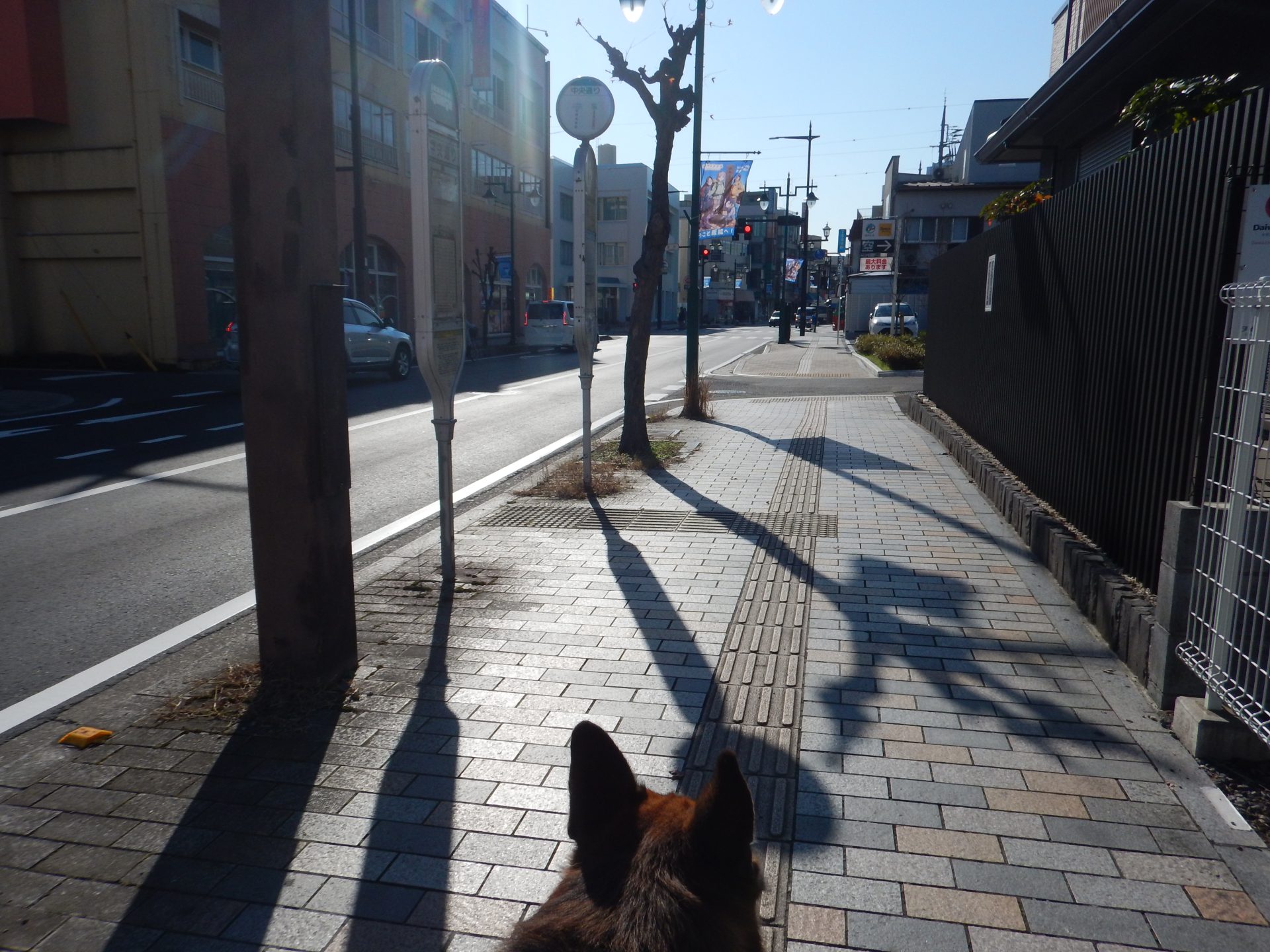 ほんとうのコトはワカラナイ（Ⅱ）！