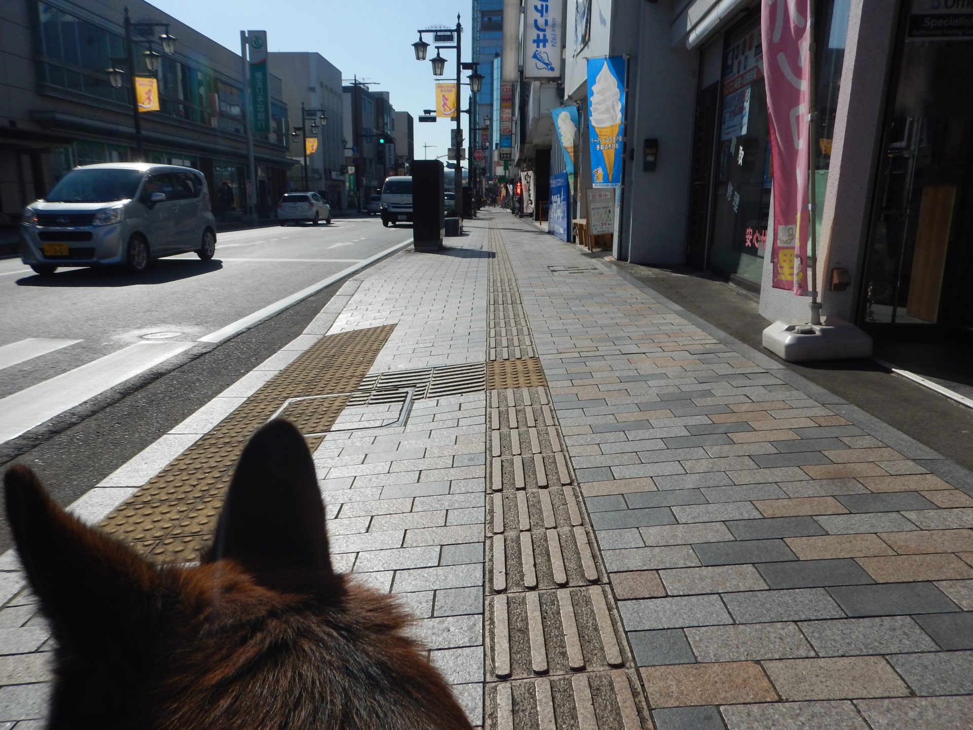 ちょうど3年、疫病ウィルスは弱毒化したけど、