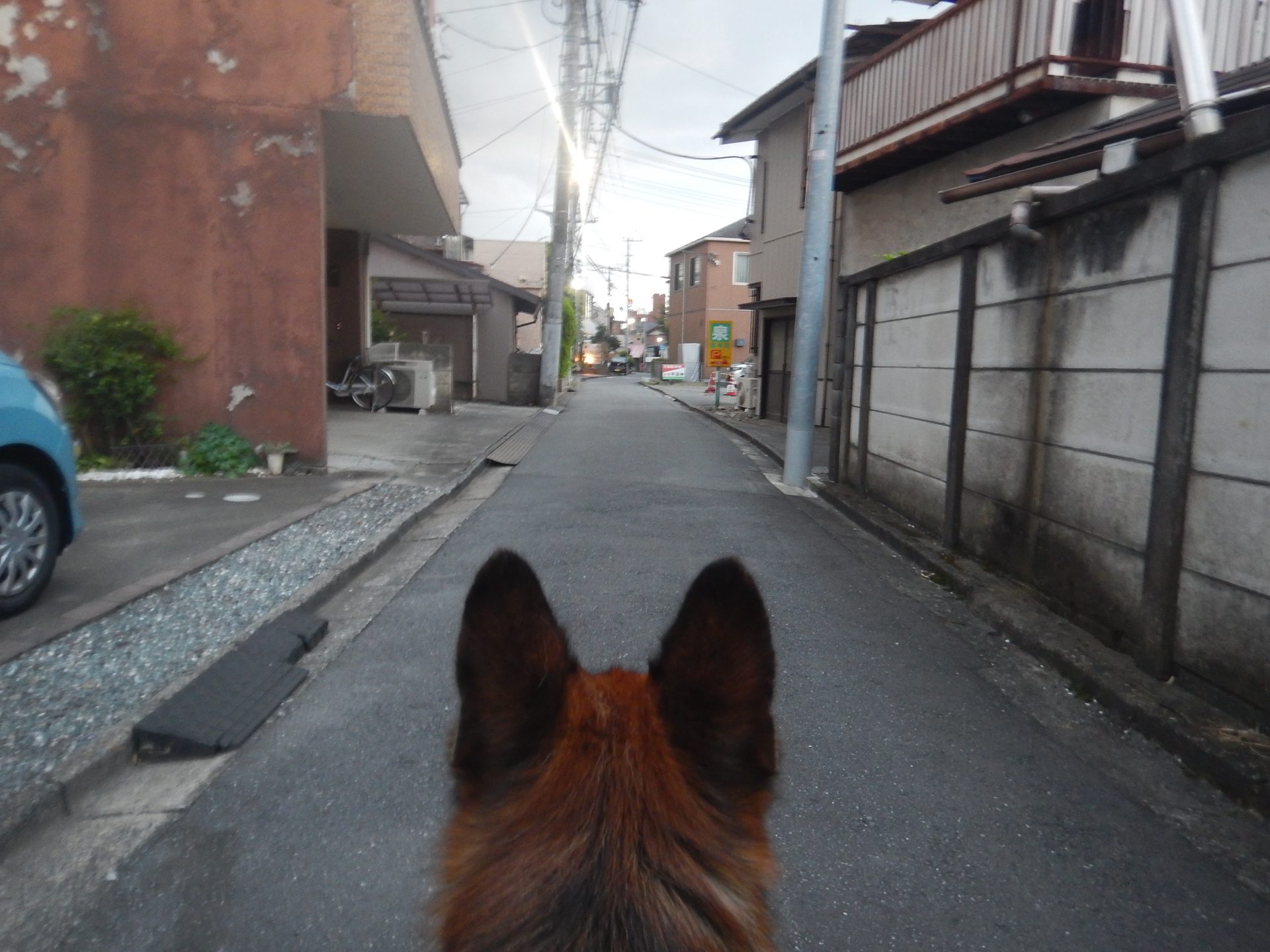 激暑ひと休み、そんな木曜定休日。