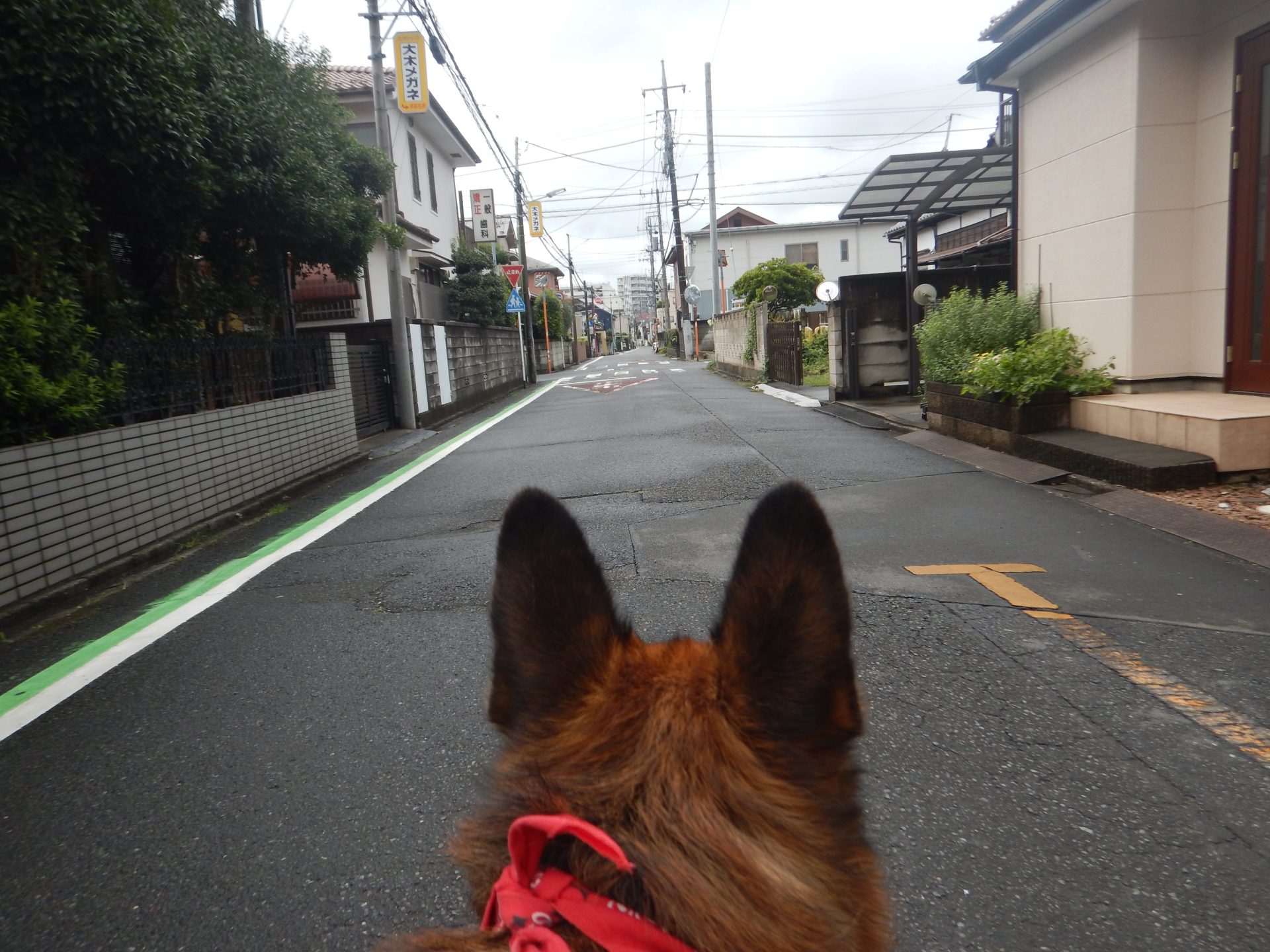 気が抜け事項と これから不安、