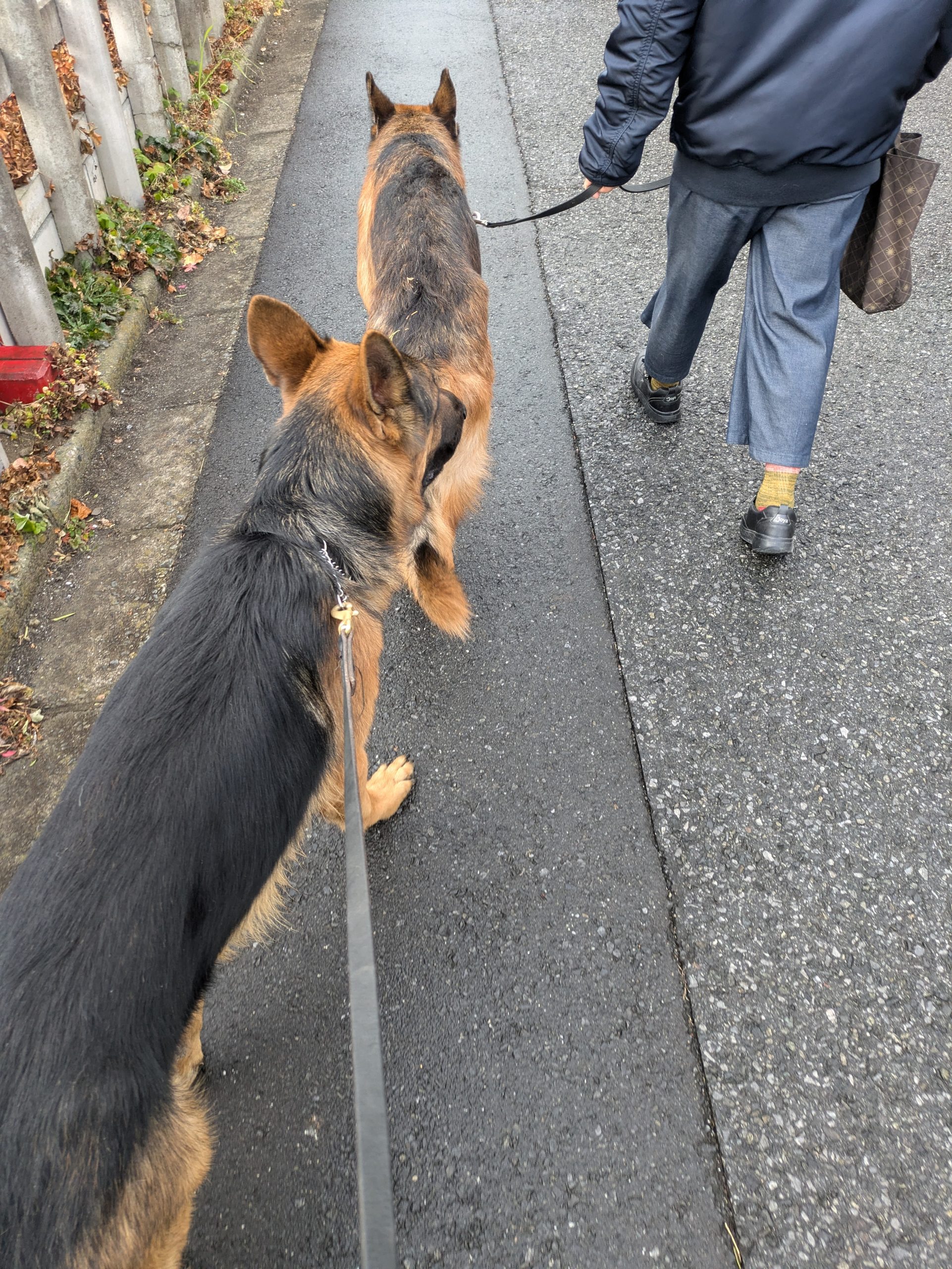 ミニマムな出費で 存分に楽しんでます、