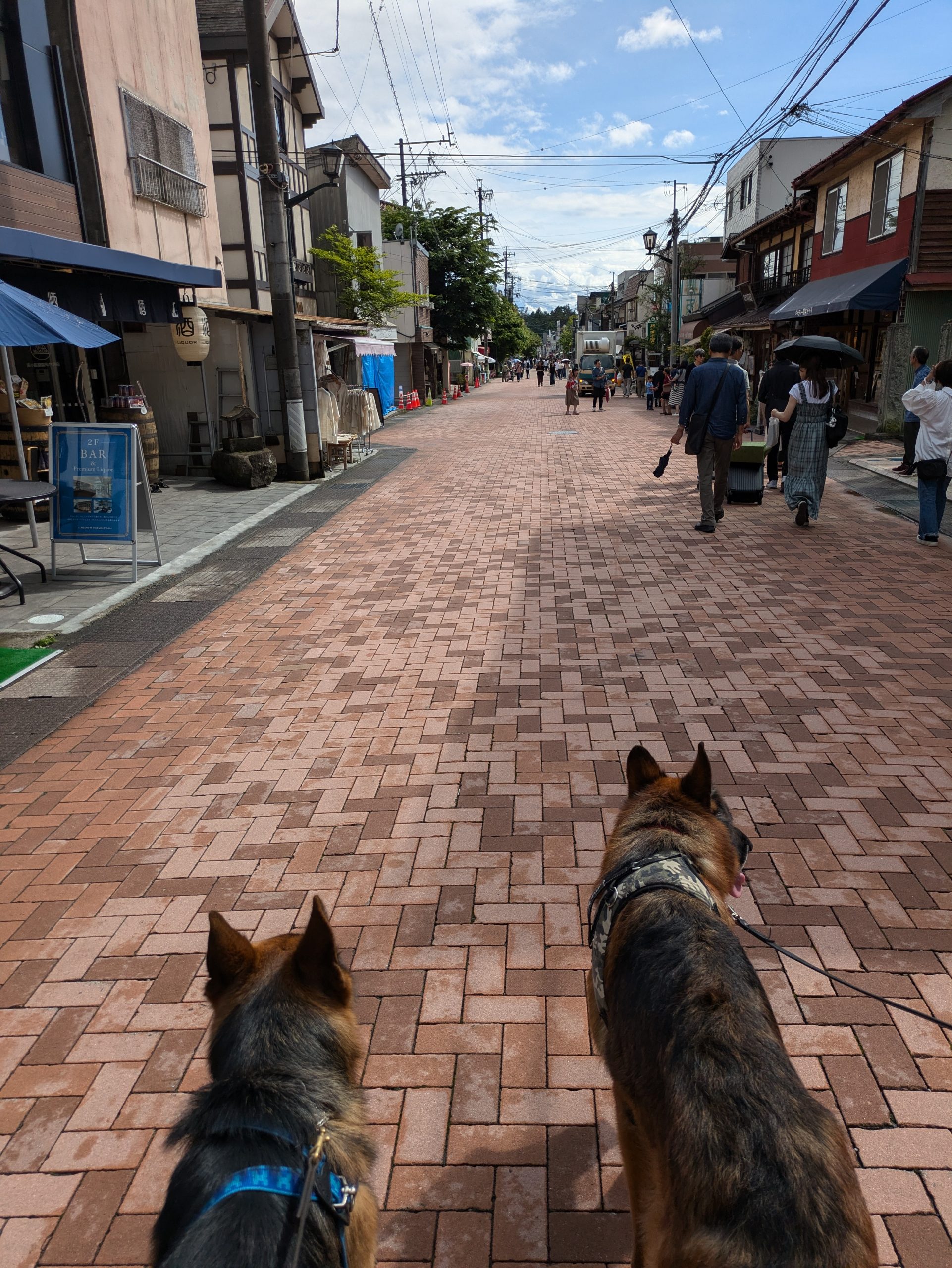 ユルネタ ” 犬 馬 お散歩 ”