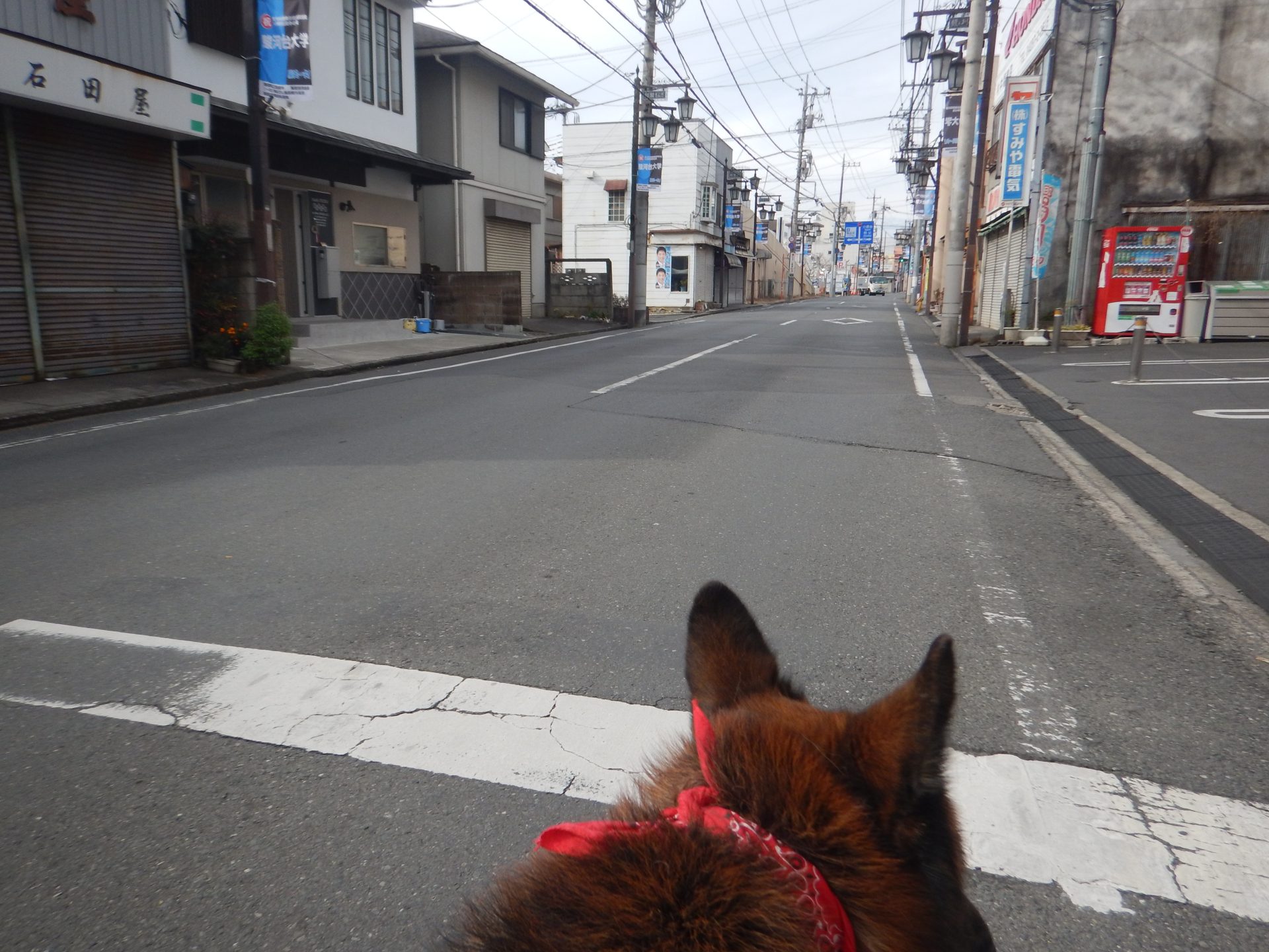 人手不足、問題は”お金”ではないっ、