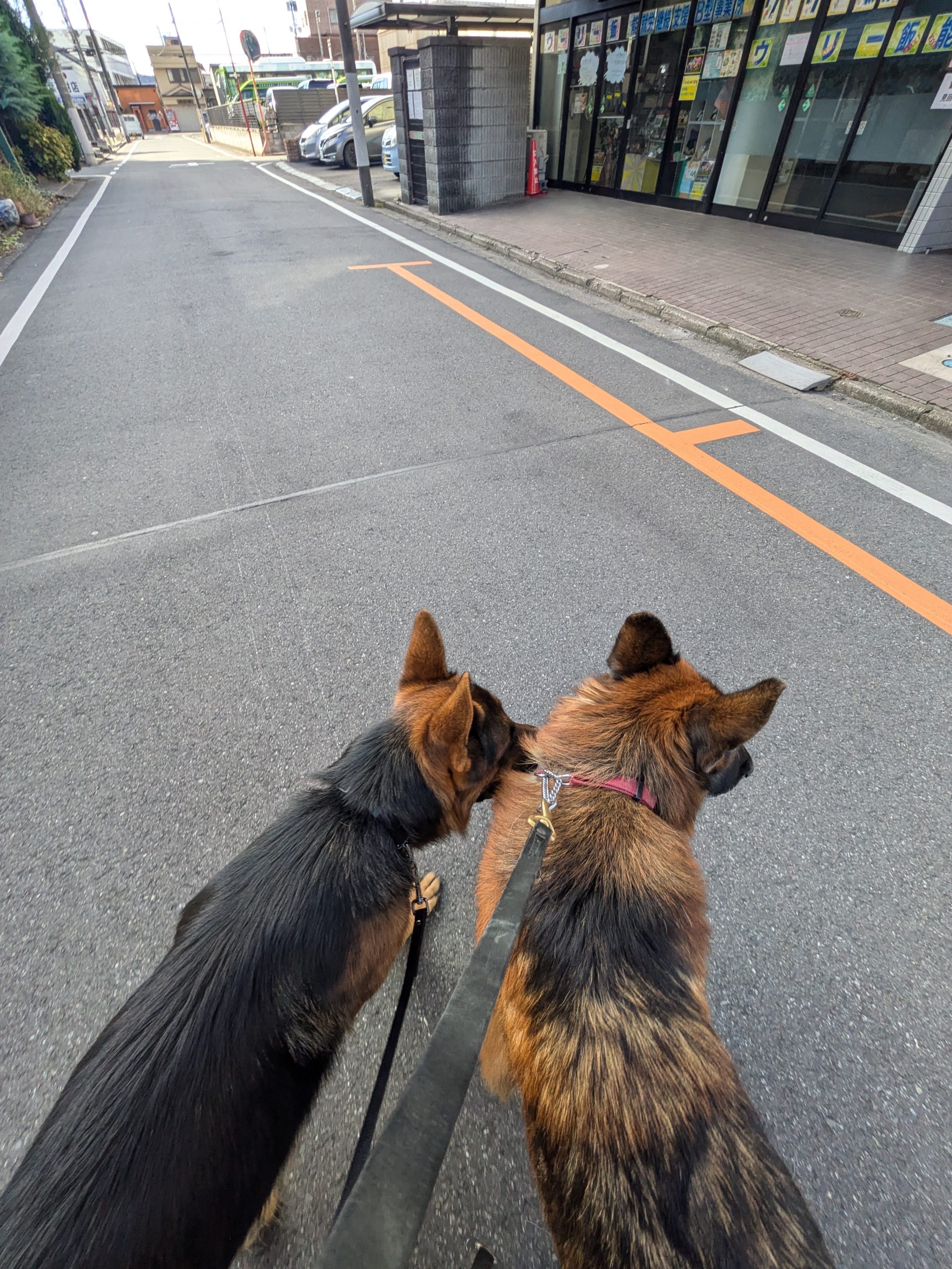 日曜日1日も　長～い時間 、