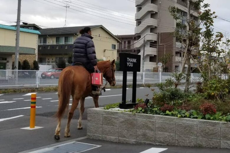 馬（ウマ）