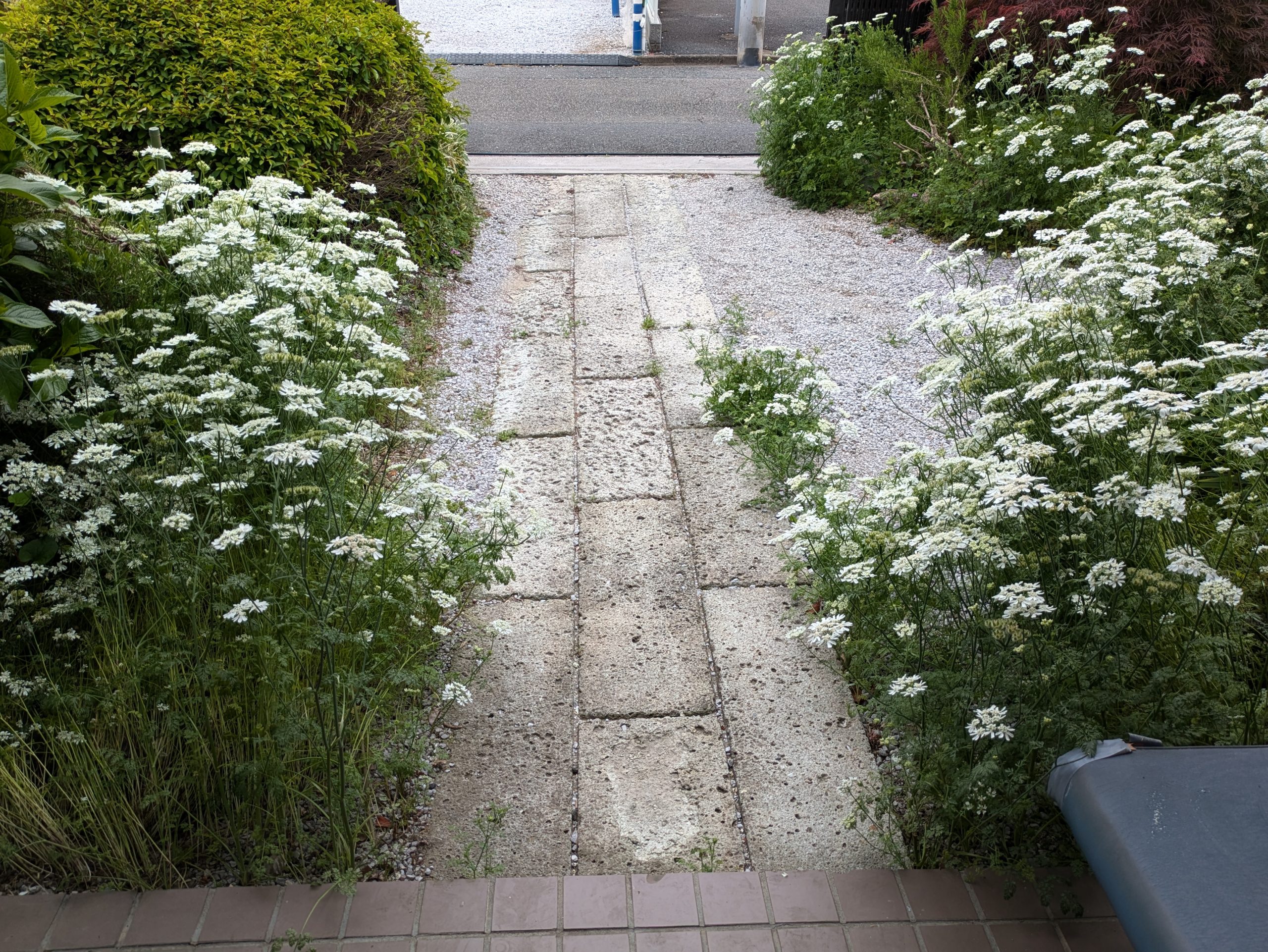 あまりにも細か過ぎて 本末転倒