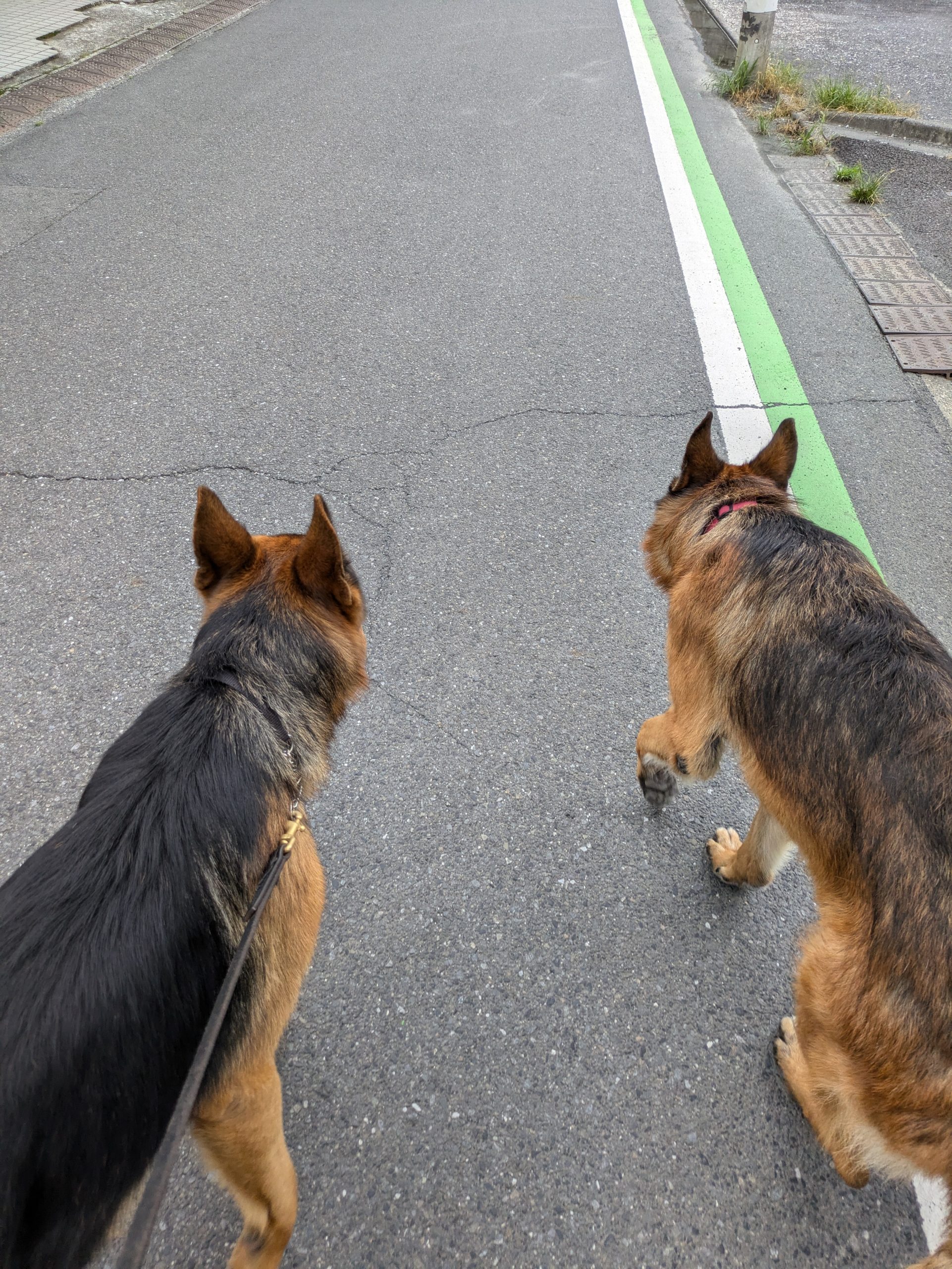 長～い休みだからって　ウチは 特別には 何～もないヨ、